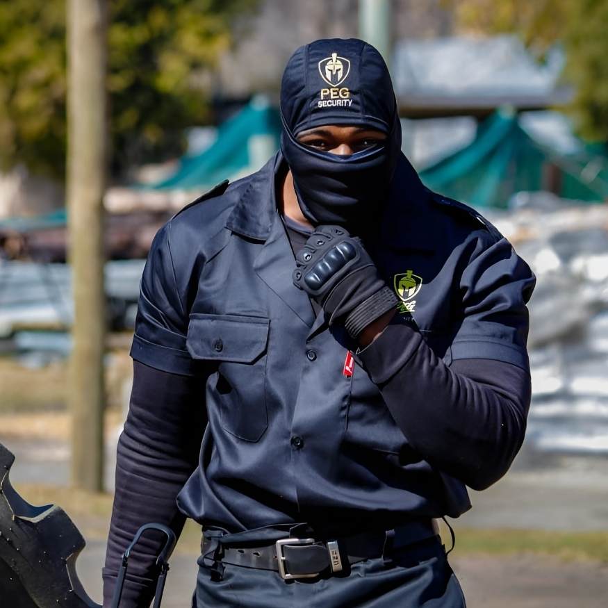 Professional security services